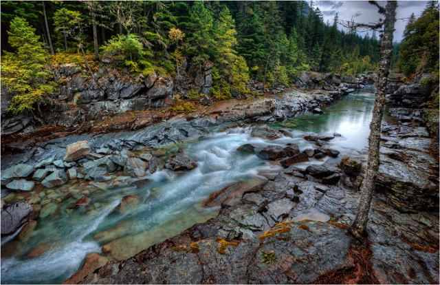 Avalanche-Creek-GlacierNP-MTN022-11x17 copy