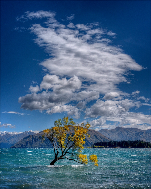 Lake-Wanaka-NZ0226-16x20 copy