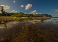 Cemetery-Bay-Coastline-2017-Norfolk-Island-757