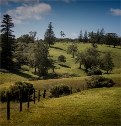 Headland-Reserve-Area-2017-Norfolk-Island-042