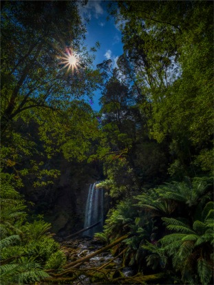 Otway-Ranges-Rainforest-02052020Hopetoun-Falls-VIC-0091